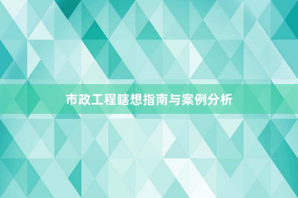 市政工程瞎想指南与案例分析